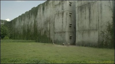 Thomas souhaite passer de l'autre côté du mur mais il est stoppé par Gally. Qu'est-ce qu'il y a de l'autre côté du mur ?