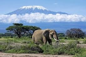 Dans quel pays se trouve le Kilimandjaro ?