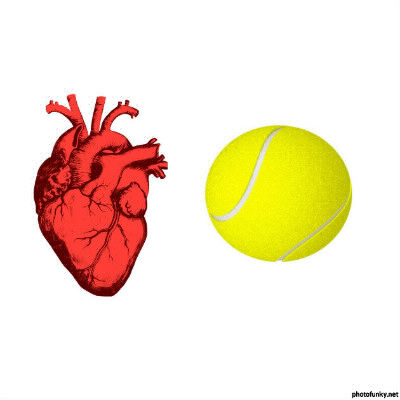 Le coeur est-il plus lourd qu'une balle de tennis ?