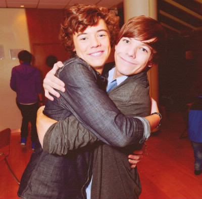 Comment s'appelle la bromance de Louis et Harry ?