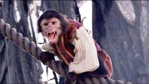 What is Barbossa's monkey's name ?