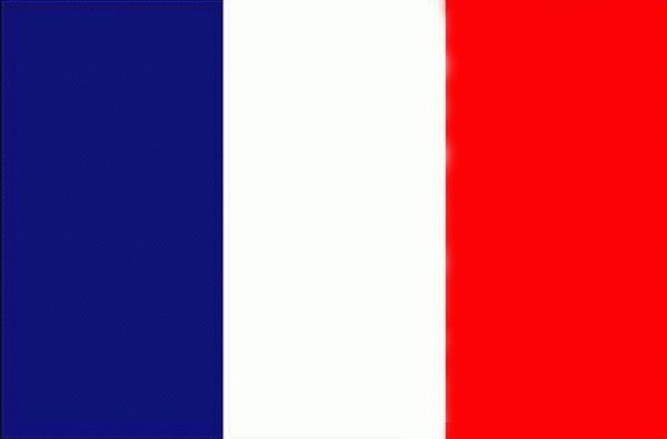 C’est le drapeau de la France.
