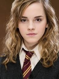 Quel métier font les parents moldus d'Hermione Granger ?