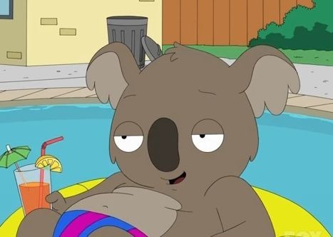Le koala...?