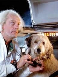 Comment s'appelle le chien de Doc dans "Retour vers le futur" (en 1985) ?