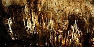 Que peut-on observer dans la cavité souterraine, appelée "l’aven Armand", située en Lozère ?