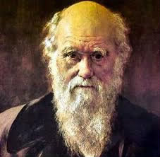 What did Charles Darwin do ?