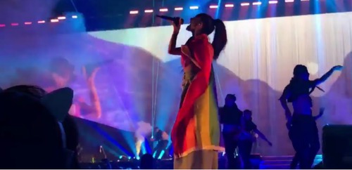 De qual país Ariana foi banida por apoiar os direitos LGBT's ?