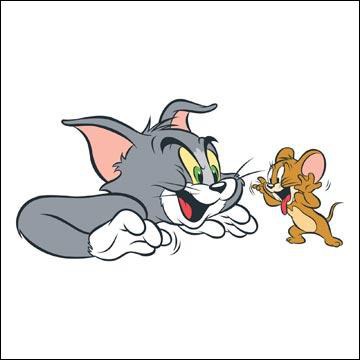 Qui entre Tom et Jerry est le chat ?