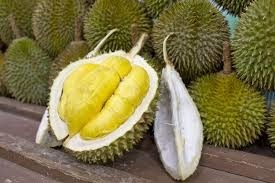 Quelle est la caractéristique du durian, gros fruit asiatique ?