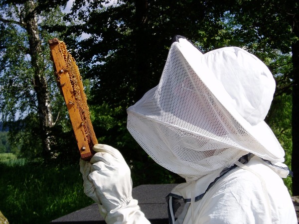 Afin de produire du miel, il élève des abeille. C'est.....