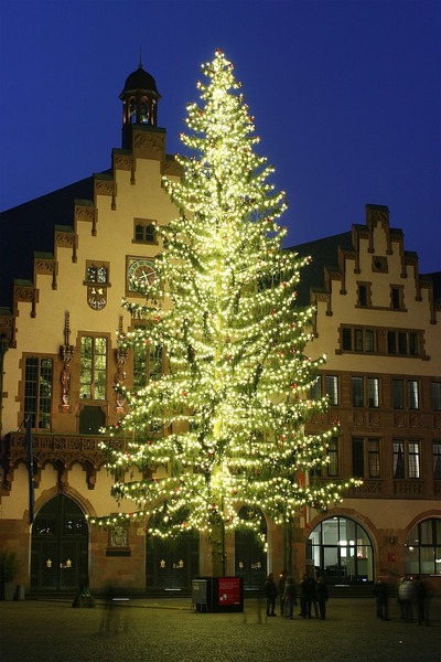 Quel sapin  à l'odeur agréable mais qui perd ses aiguilles en deux semaines, et qui était auparavant l'arbre de Noël le plus courant en France ?