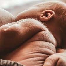 Quel est le nom pour décrire ce duvet très fin qui recouvre le corps du bébé ?