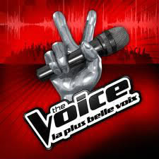 Sur quelle chaîne passe " The Voice la plus belle voix " ?