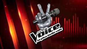 Qui a remporté le concours "The Voice" cette année-là (2016) ?
