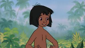 Qui-est Mowglie ?