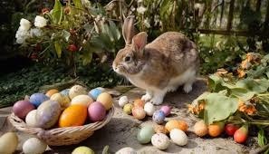 À Pâques, selon les pays, on mange des œufs en chocolat, on peint les œufs, on décore les arbres avec des œufs, mais pourquoi autant d’œufs ?