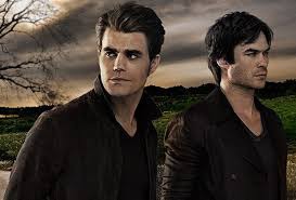Quel est le nom de famille de Stefan et Damon ?