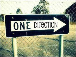 Qui a décidé le nom 'One Direction' ?