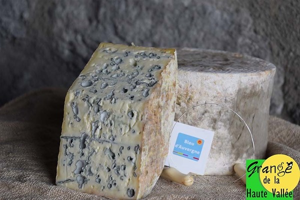 Quel fromage a des moisissures bleuâtres caractéristiques ?