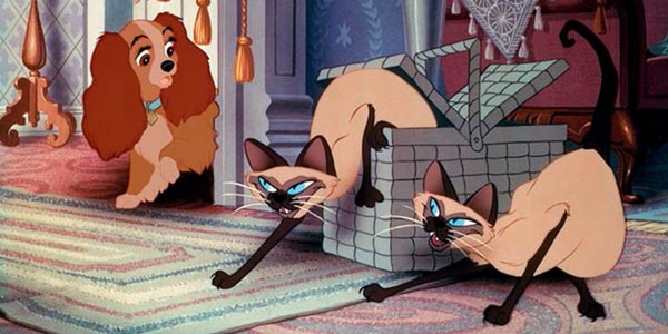 Dans quel Disney apparaissent ces deux chats siamois jumeaux ?