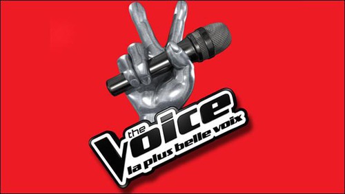 Lequel de ces chanteurs n'a jamais été coach de l'émission "The Voice : la Plus Belle Voix" ?
