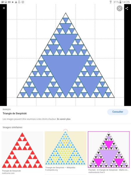 Qu'est-ce qu'un triangle squalène/quelconque ?
