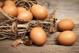 Bien conservé, l'œuf peut se garder un mois ?