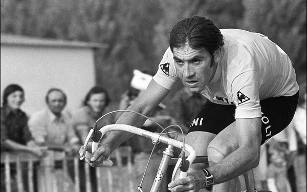 Quel est le prénom du coureur cycliste Merckx ?