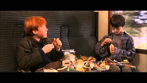 Que prend Harry dans le Poudlard Express (Harry potter I) ?