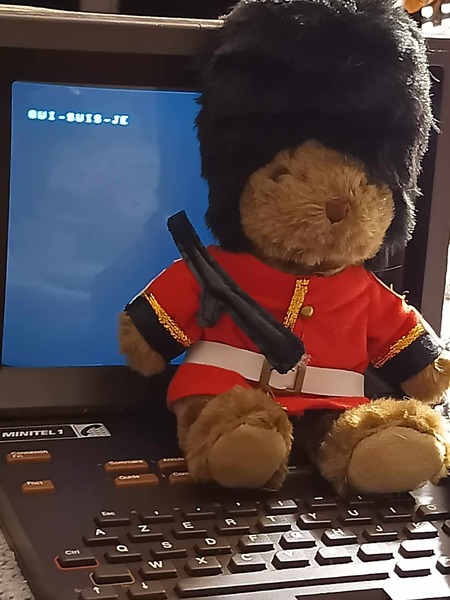 Que représente cette ourse en peluche ?