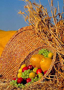 Quelle est cette fête religieuse juive au cours de laquelle on célèbre le début de la moisson du blé ?