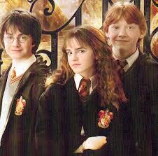 Dans quelle maison Harry, Hermione et Ron ont été envoyés ?