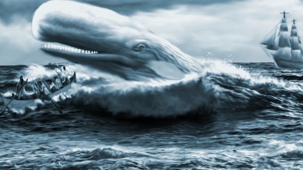 Quel animal est chassé dans Moby Dick d'Herman Melville ?