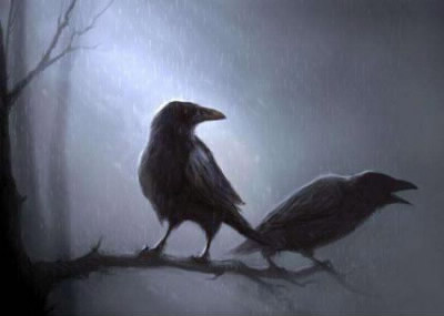 What does the raven symbolise ?