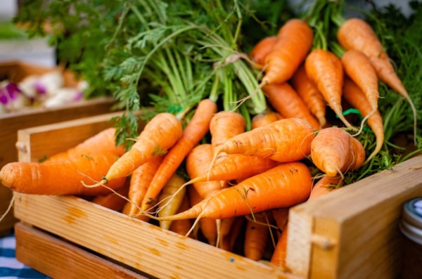 De quelle famille fait partie les carottes ?