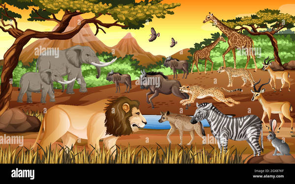 Quel animal africain vit désormais à l'état sauvage en Colombie ?