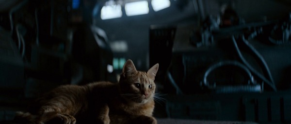 Comment s'appelle le chat dans Alien ?