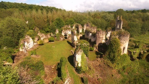 Dans quel département se trouve les ruines du château de Vaujours ?