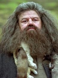 Qui joue le rôle de Rubeus Hagrid ?