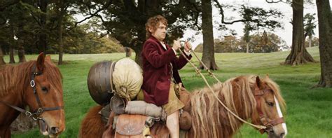 Comment s'appelle le poney de Bilbon ?