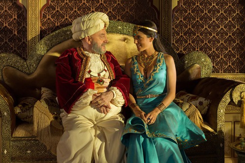 Est-ce que le roi est d'accord pour que Aladin et la princesse se marient ?