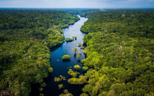 Quelle superficie du Brésil est occupée par la forêt Amazonienne ?