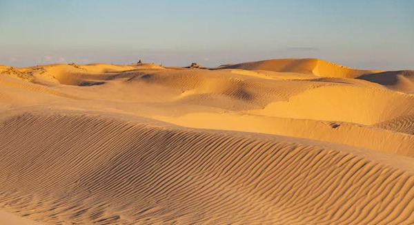 Sur quel pays le Sahara n'est-il pas étendu ?
