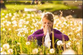 Ma petite soeur pique des crises de rhume en approchant le pollen. Quel spécialiste doit-elle consulter ?