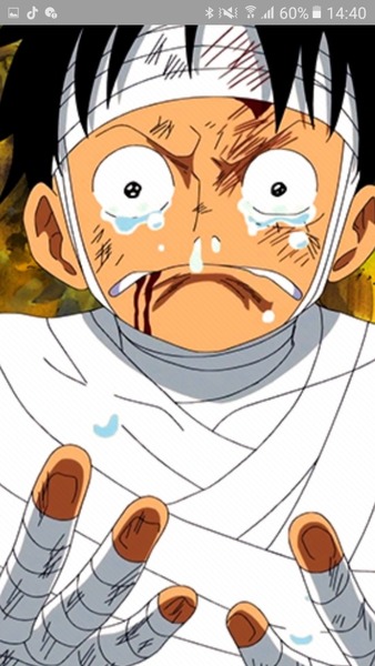 Combien de fois Luffy a pleuré ?