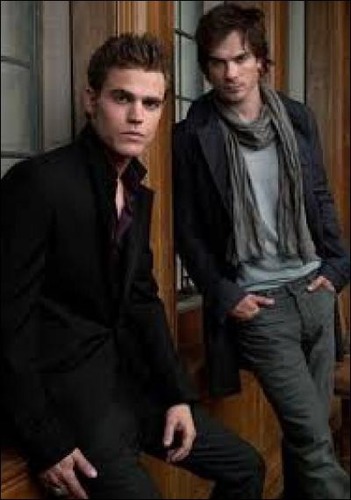 Qui a transformé les frères Salvatore ?