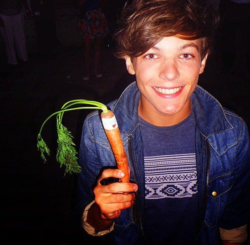 Qui raffole des carottes ? (Très facile)