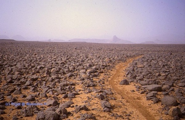 Que désigne-t-on par les regs dans le désert du Sahara ?