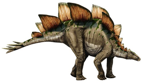 Que signifie "Stegosaurus" ?